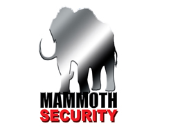 Mammoth Security Products