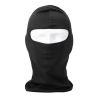 Silk Balaclava