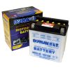 Dynavolt CB10L-A2 High Performance Battery