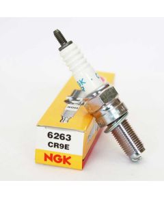 NGK CR9E Spark Plug