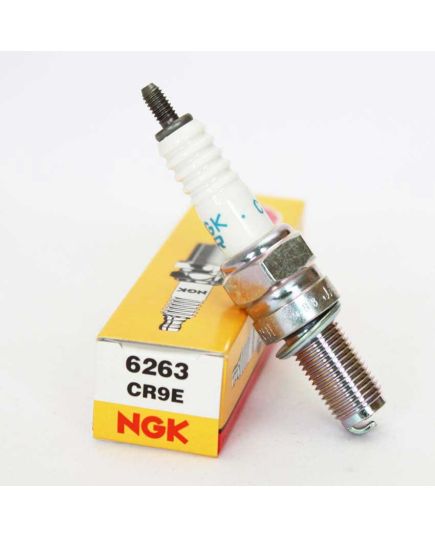 NGK CR9E Spark Plug