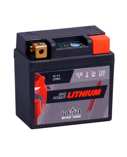 Intact Bike-Power Lithium LiFePO4 Battery LFP01