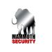 Mammoth Security Products